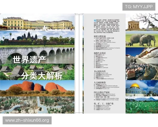 2026年世界杯塞内加尔与伊拉克比赛的主办城市介绍及旅游攻略指南